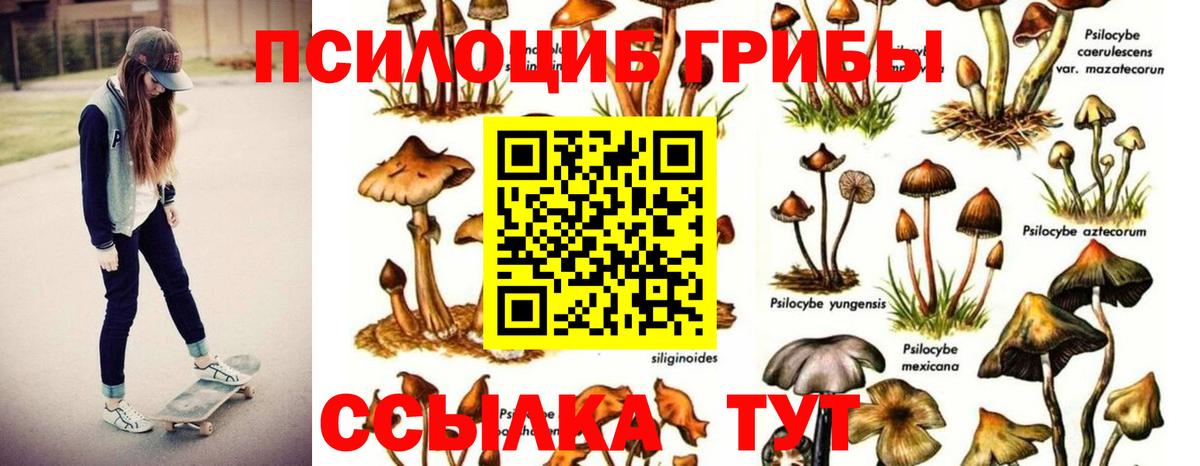 Галлюциногенные грибы MAGIC MUSHROOMS Джанкой