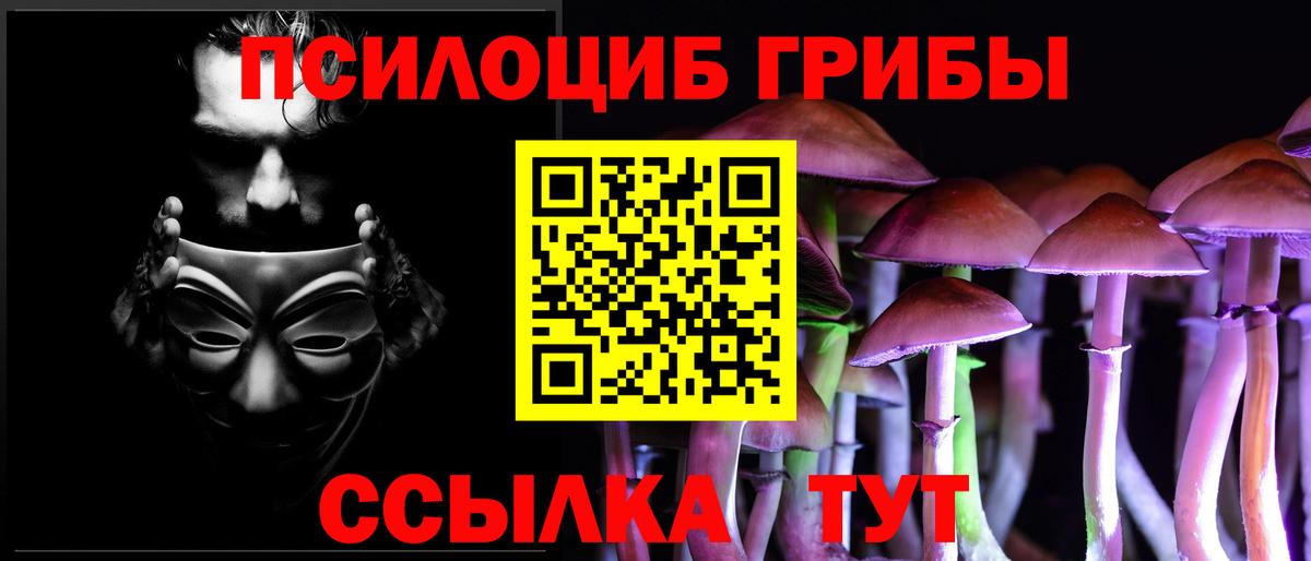 Джанкой  Псилоцибиновые грибы GOLDEN TEACHER  Вход с VPN 